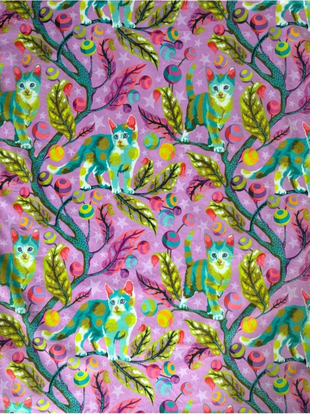 Disco Kitty Minky Baby Blanket
